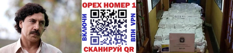 мега маркетплейс  купить  цена  Можайск  COCAIN FishScale 
