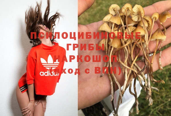 jwh Богородск