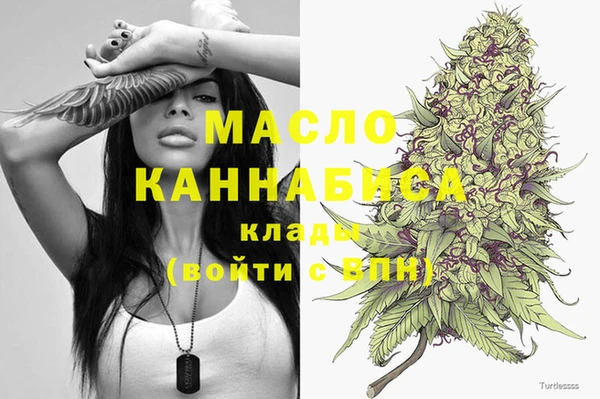 ECSTASY Бородино