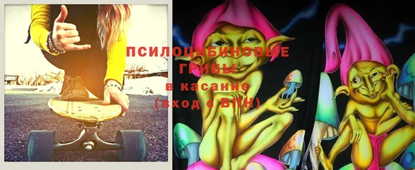 стафф Бронницы