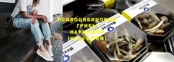 стафф Бронницы